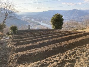 僧地村の活動の記録