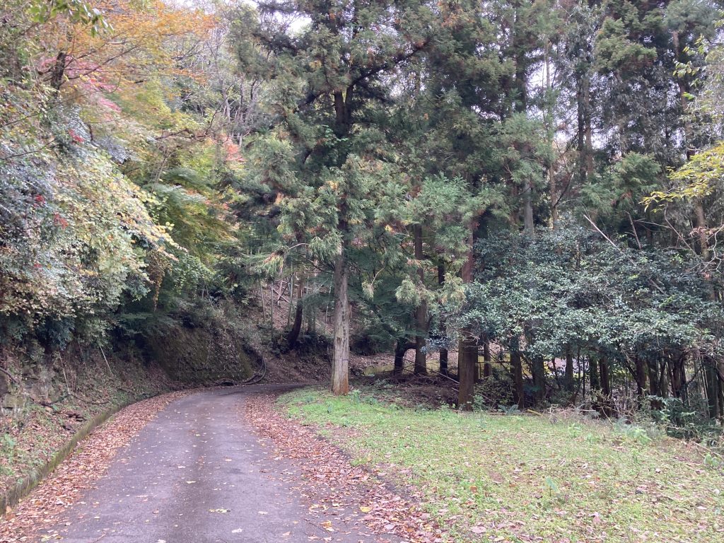 秋の交流会の集合写真